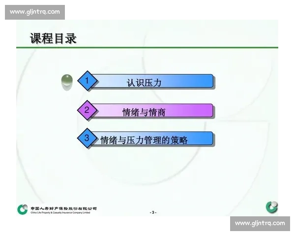 心理能力提升与情绪调控在个人发展中的关键作用探索