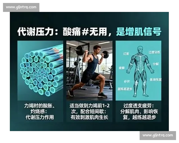 科学增肌训练全攻略:打造完美体型与力量提升秘籍 科学增肌训练全攻略:打造完美体型与力量提升秘籍
